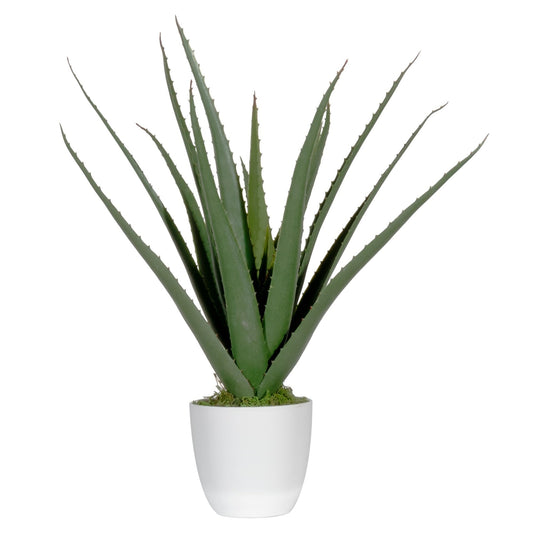 Paperflow Zimmerpflanze meet Aloe Vera 45cm Polyethylen/Kunststoff grün