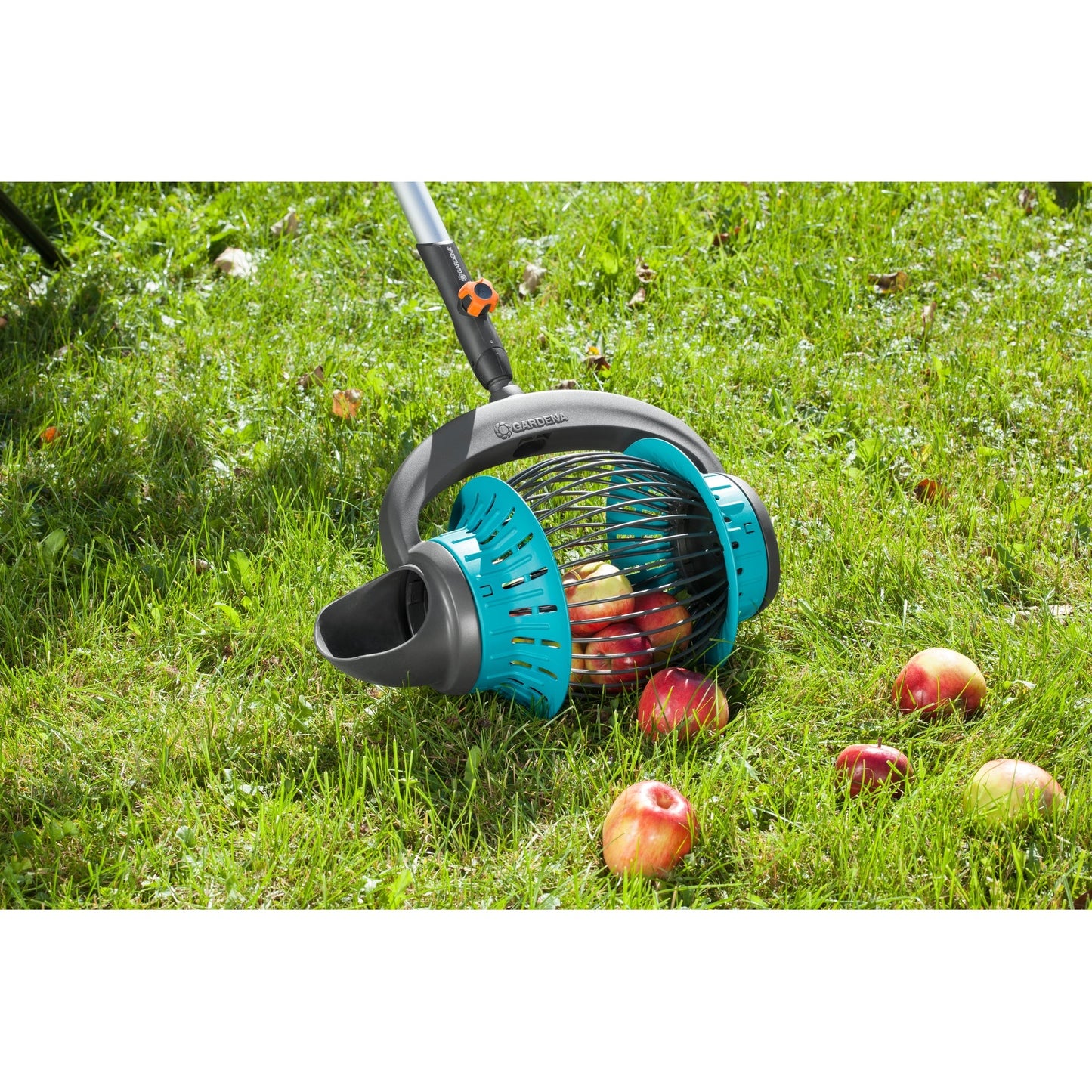 GARDENA Rollsammler combisystem Obst, Nüsse Zubehör erforderlich erforderliches Zubehör: GARDENA Teleskopstiel combisystem 03719-20 Kunststoff