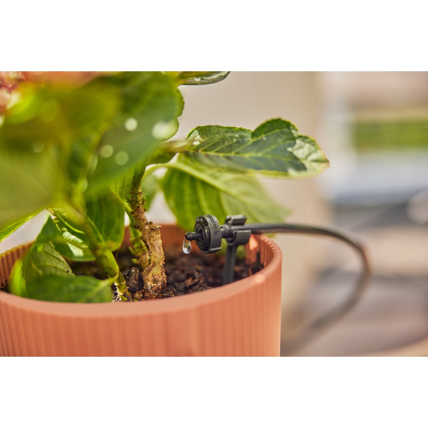 GARDENA Bewässerungssystem Balkon 2l/h 39 Teile optionales Zubehör: Gardena Wasserschlauch (18411-20, 04647-20, 18450-20, 18445-20, 18457-20, 18490-20), Bewässerungssteuerung (01891-20)