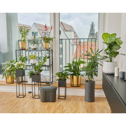 GARDENA Bewässerungssystem leicht: 15 ml/min., mittel: 30 ml/min., stark: 60l/h 62 Teile
