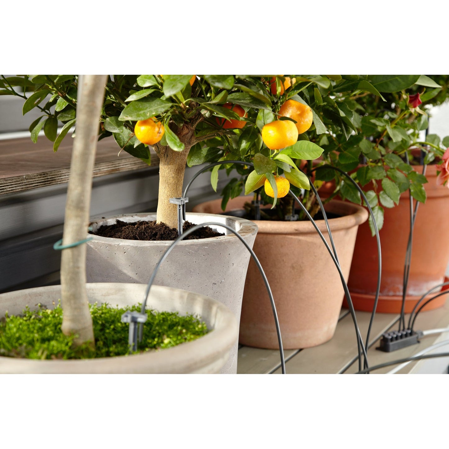 GARDENA Bewässerungssystem 0,001l/h 63 Teile