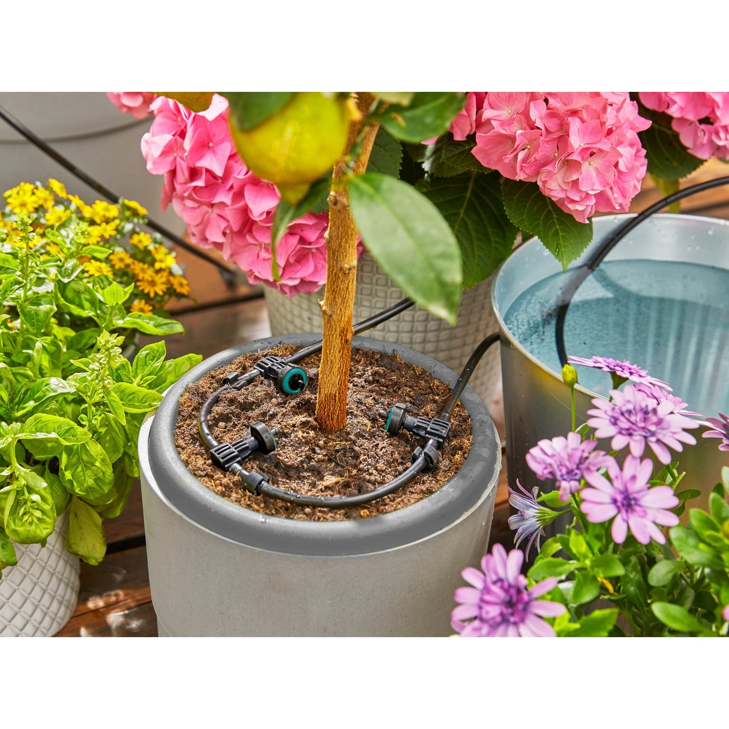 GARDENA Bewässerungssystem AquaBloom 0,5l/h 57 Teile