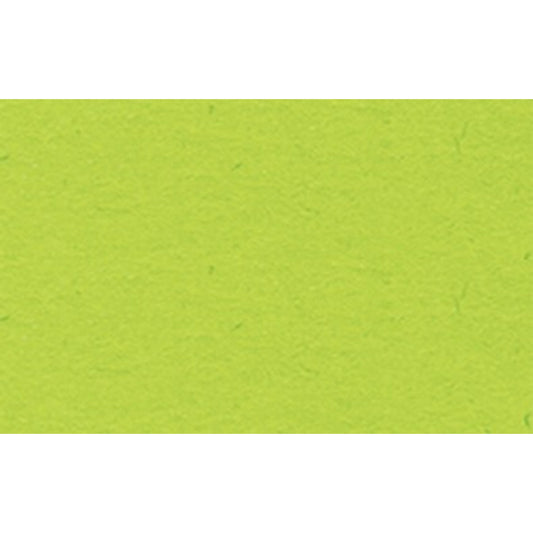 URSUS Tonpapier 50 x 70 cm (B x H) 130g/m² hellgrün 10 Bl./Pack.