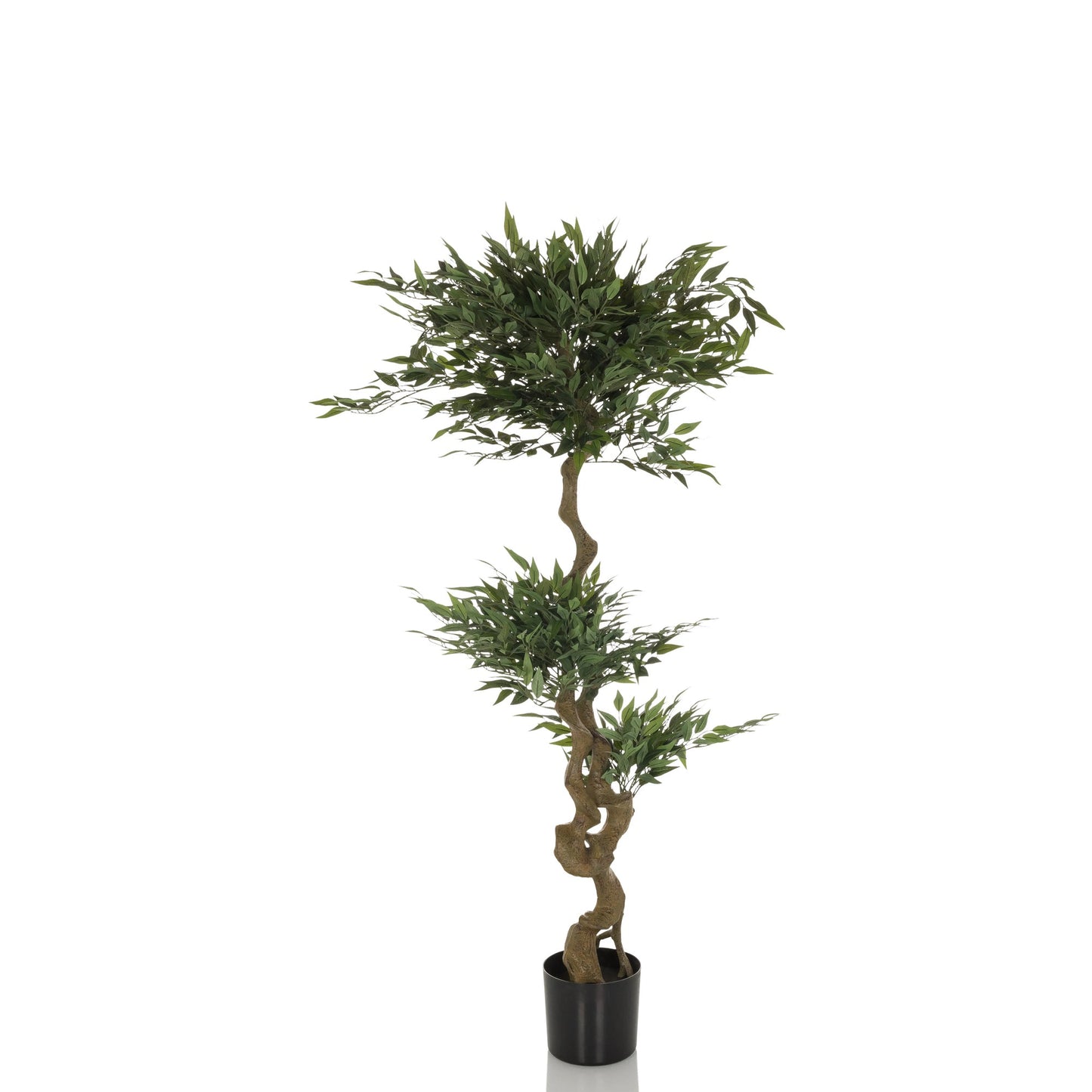 hjh OFFICE Zimmerpflanze Acacia 45 x 155 x 45 cm (B x H x T) Kunststoff/Stoff grün
